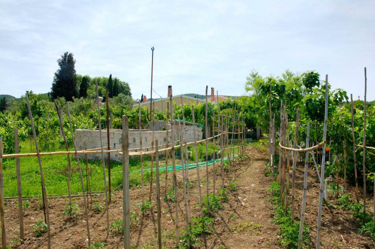 Country House Kanakades Exterior photo